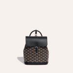 Goyard Alpin Mini Backpack Black - Image 2